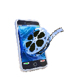 Dog Show Videos