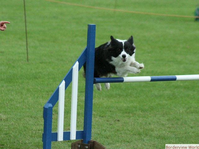 Kirkwind Poppet At Kirkbridgend